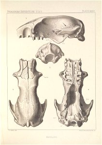 n158_w1150