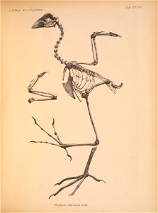 n172_w1150