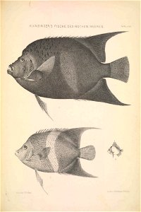 n180_w1150