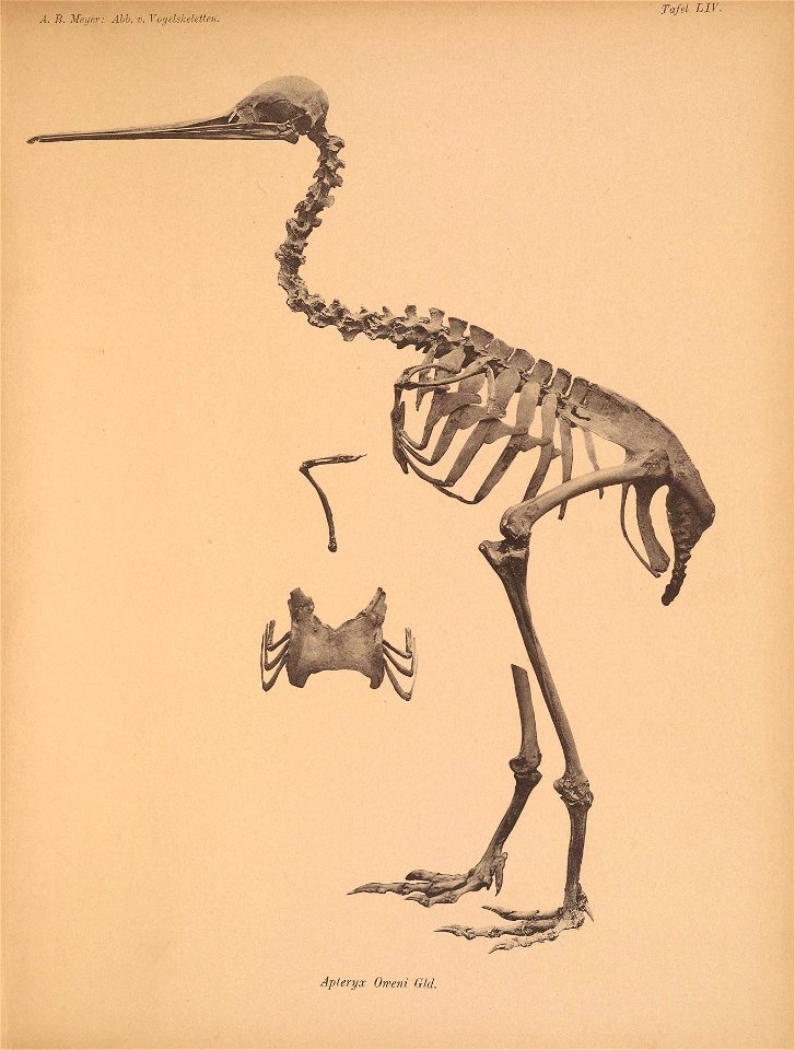 n202_w1150