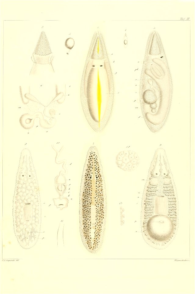 n136_w1150