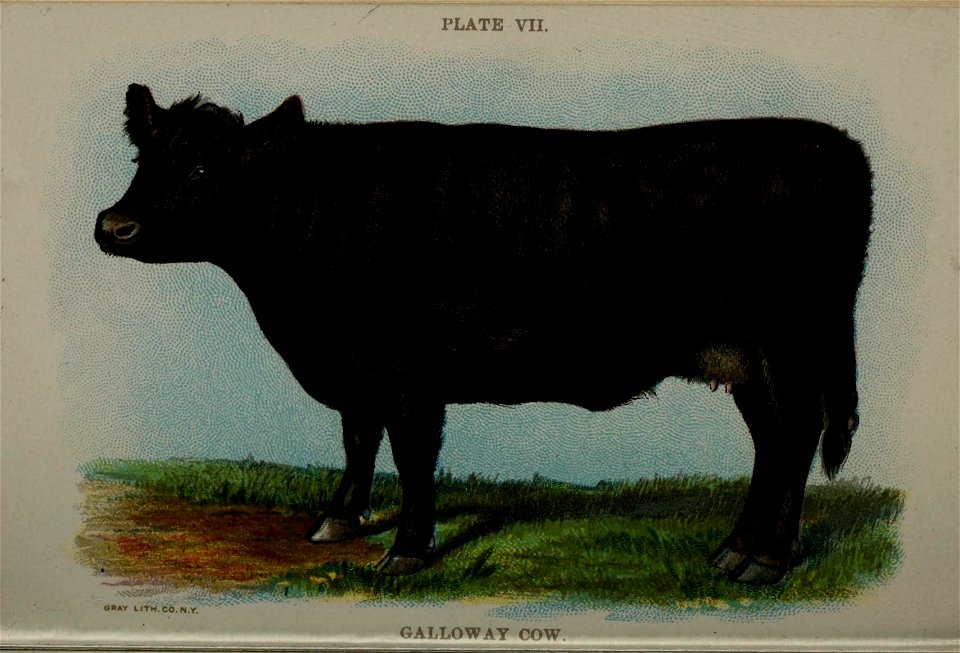 n119_w1150