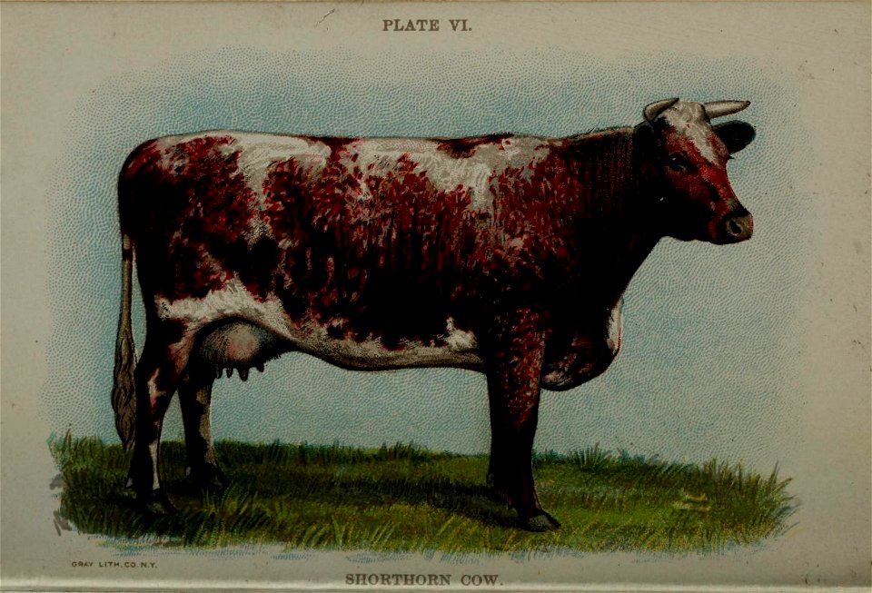 n103_w1150