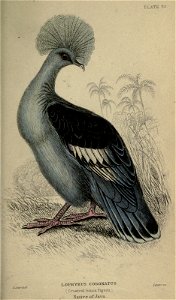 n286_w1150