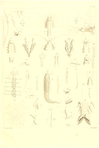 n158_w1150