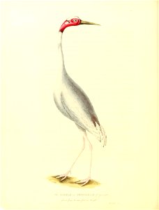 n351_w1150