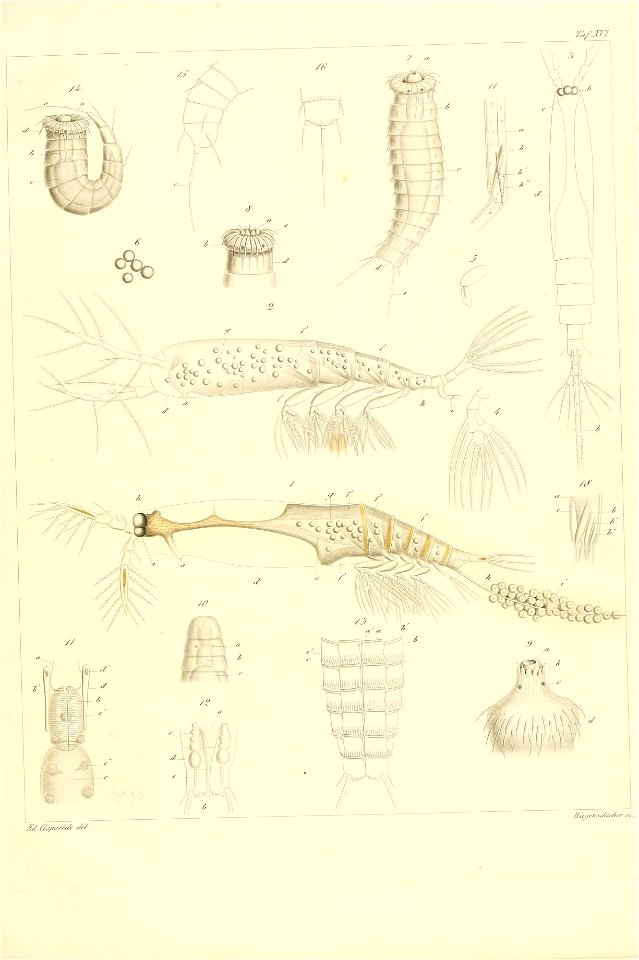 n162_w1150