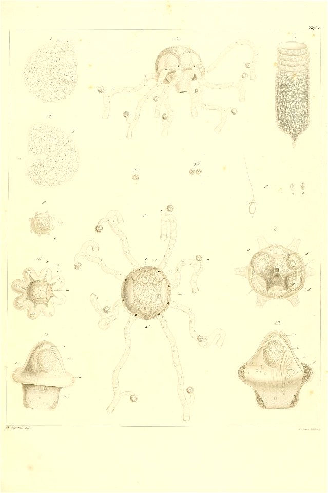 n132_w1150