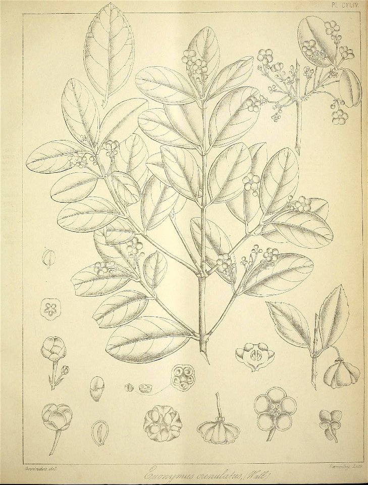 n612_w1150