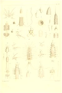 n156_w1150