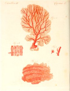n135_w1150