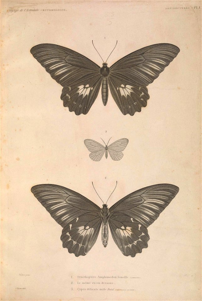n6_w1150