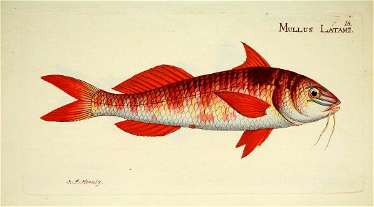 n40_w1150