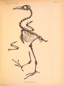 n176_w1150