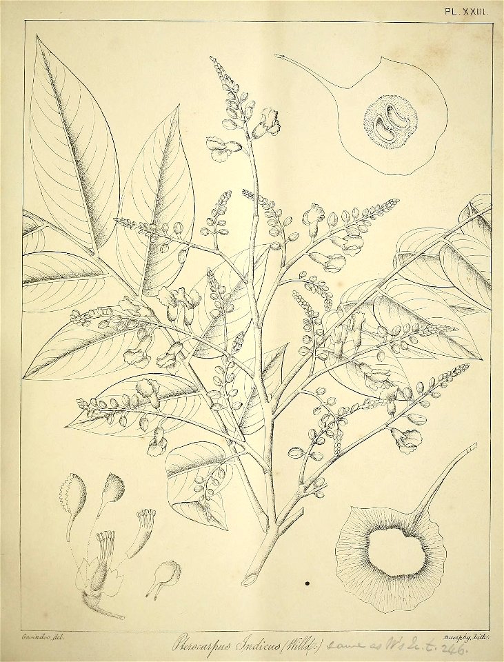 n128_w1150
