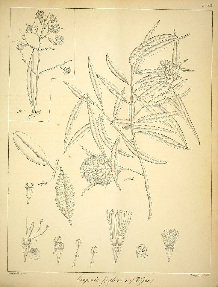 n844_w1150