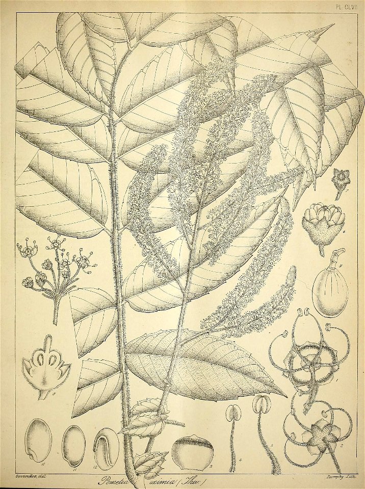 n664_w1150