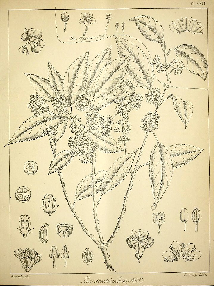 n604_w1150