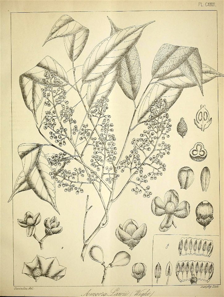 n568_w1150
