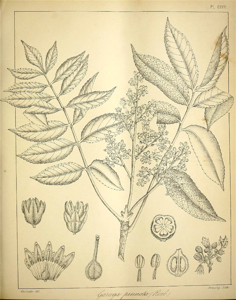 n508_w1150