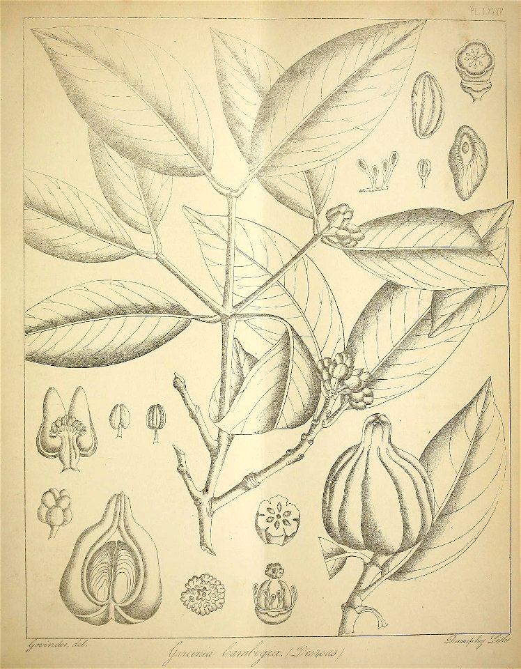 n376_w1150