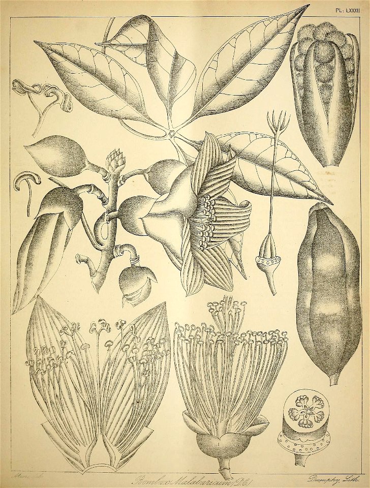 n364_w1150