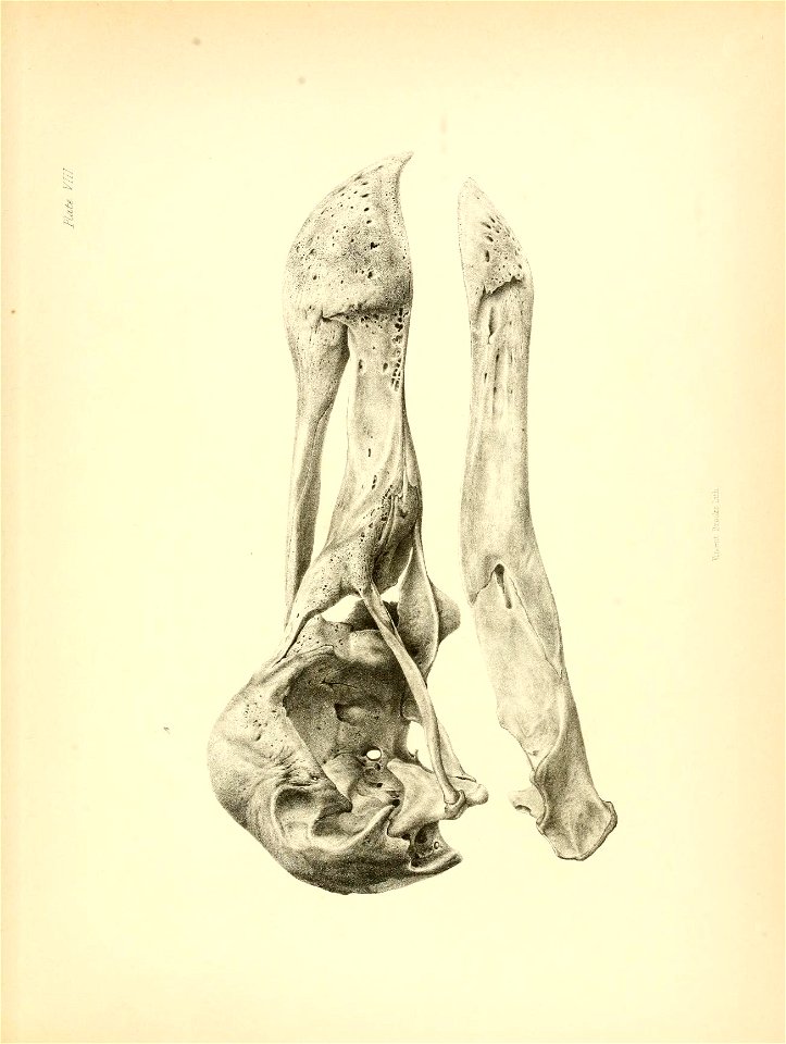 n182_w1150