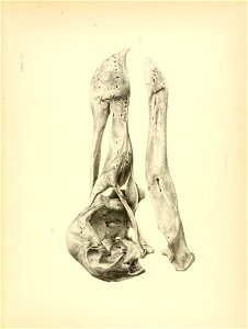 n182_w1150