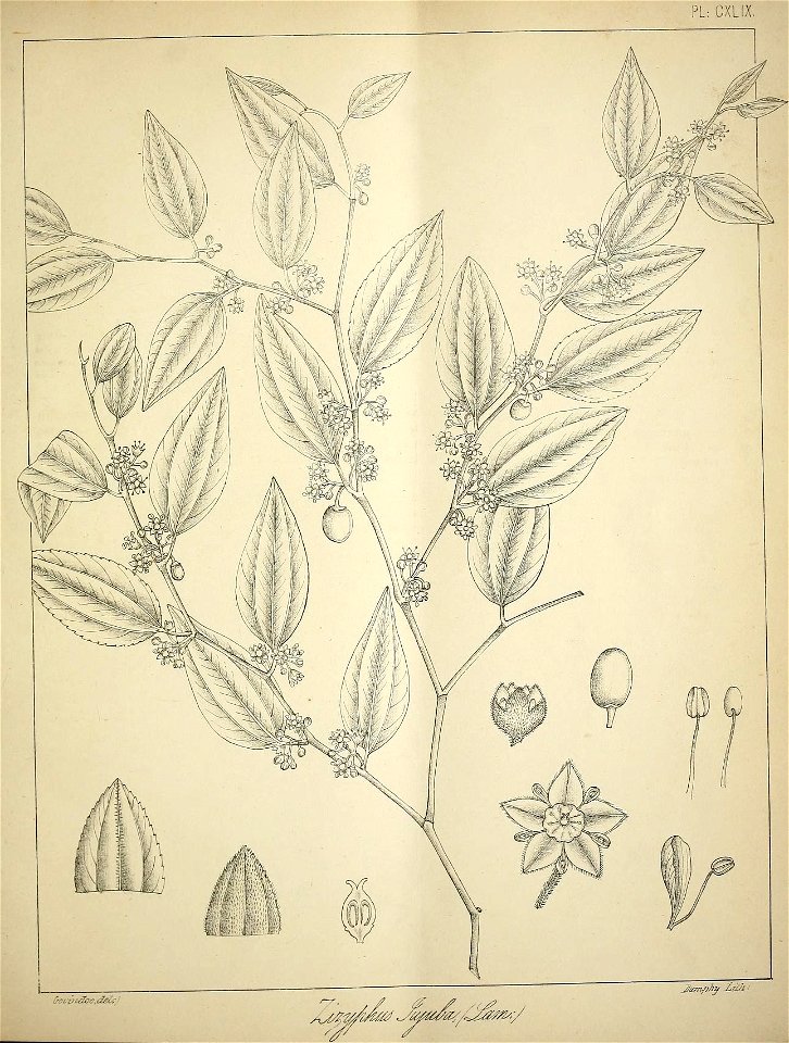 n632_w1150
