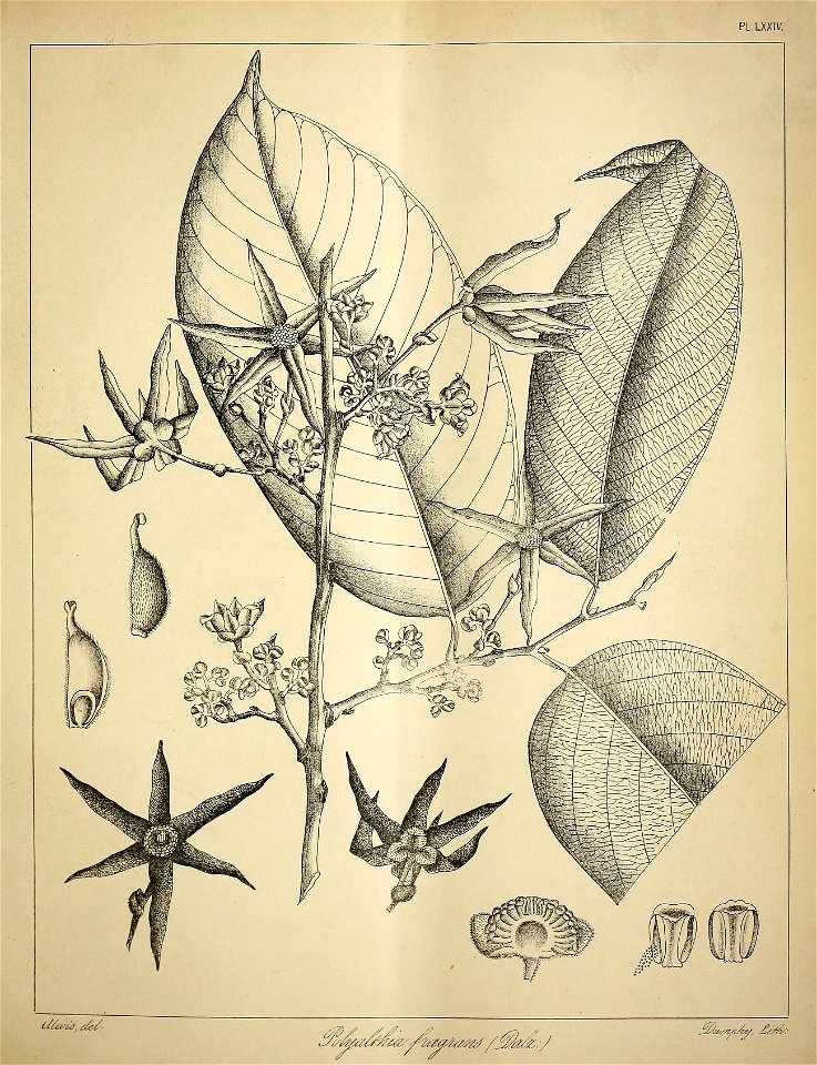 n332_w1150