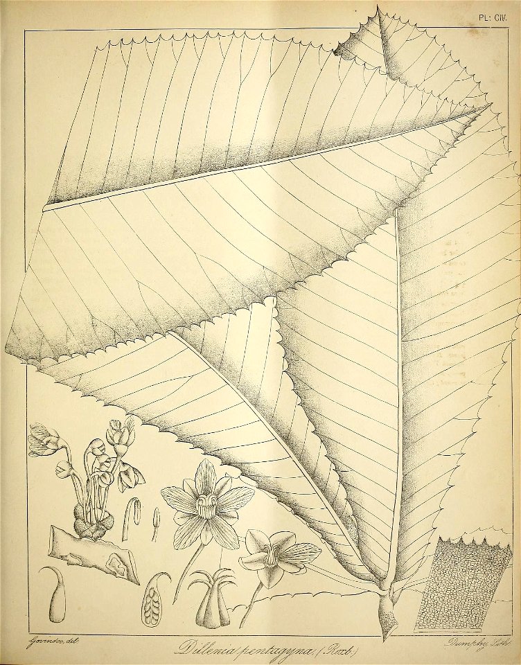 n452_w1150
