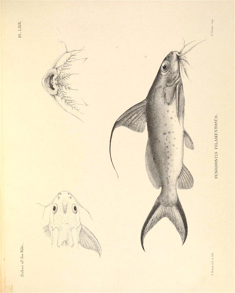 n206_w1150