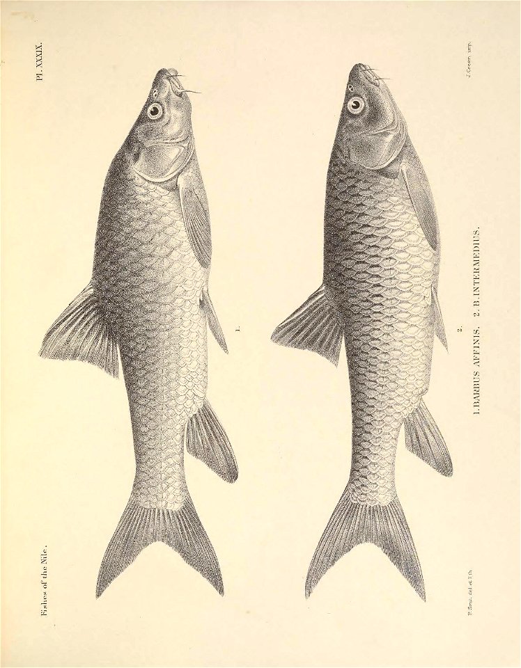 n120_w1150