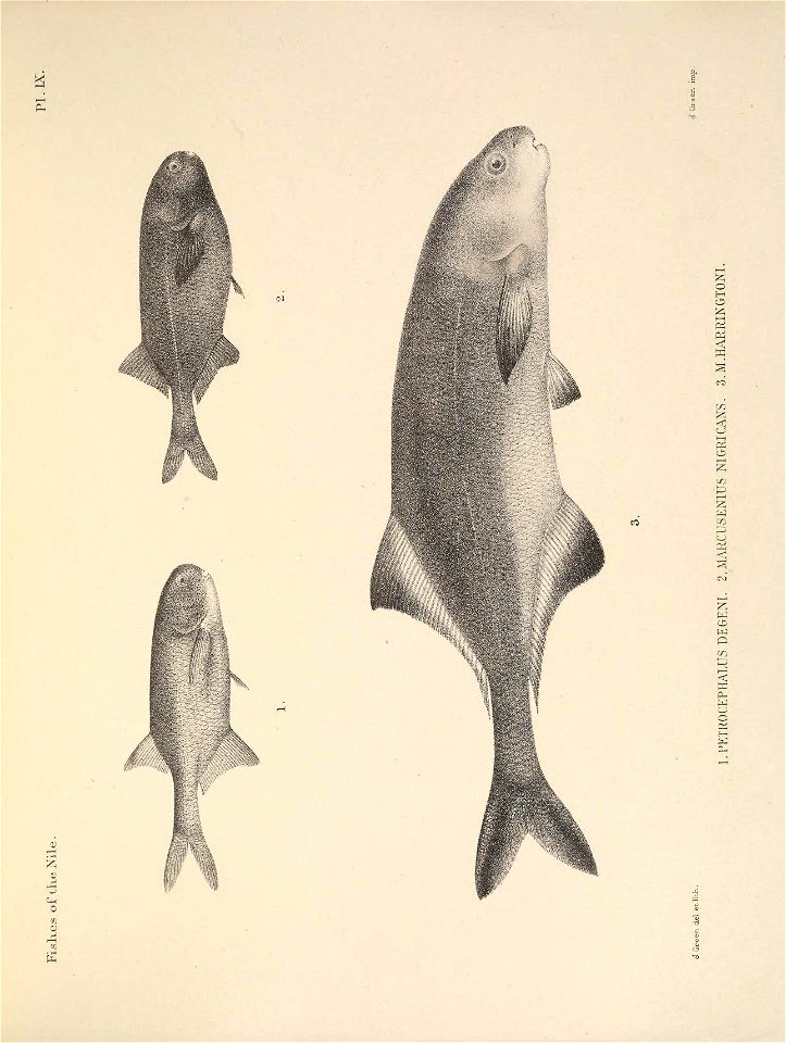 n46_w1150