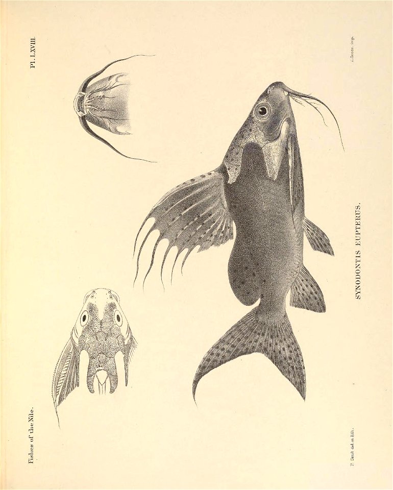 n204_w1150