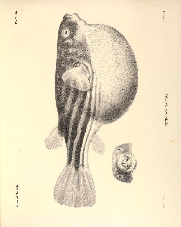 n270_w1150
