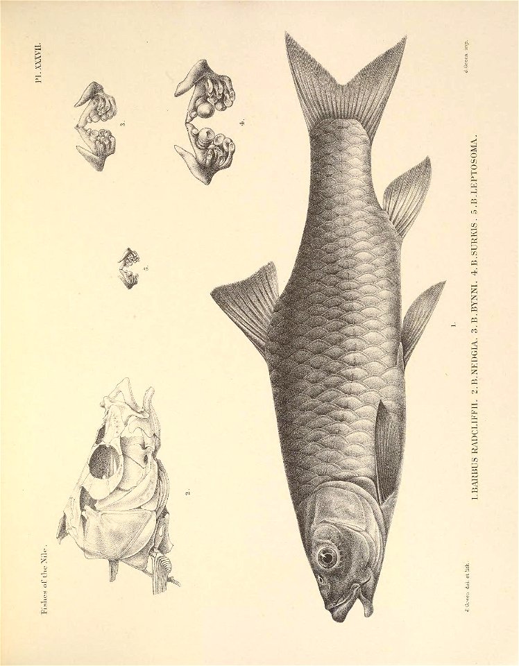 n116_w1150