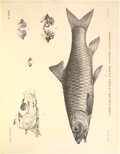 n116_w1150