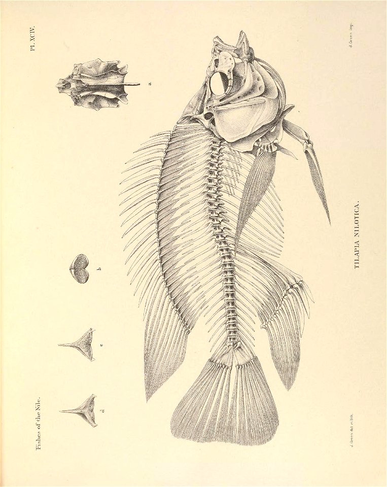 n262_w1150