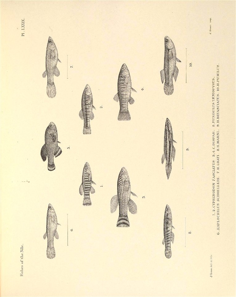 n232_w1150