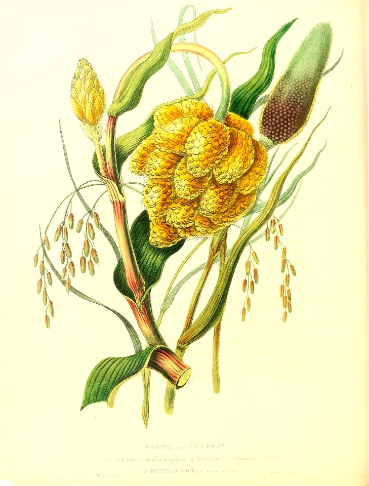 n507_w1150