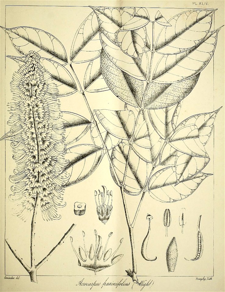 n212_w1150