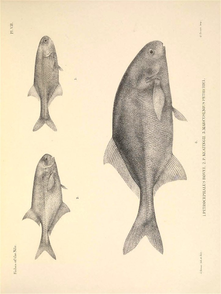 n44_w1150