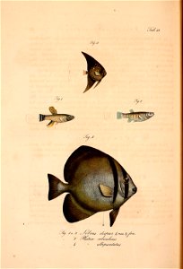 n503_w1150
