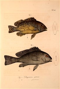 n588_w1150