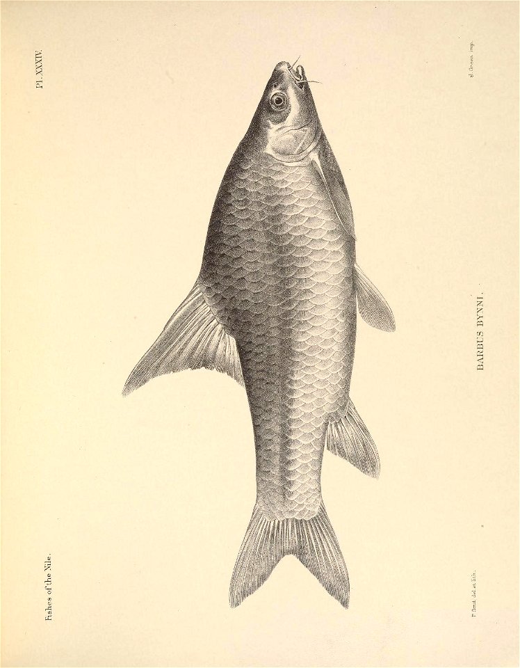 n110_w1150