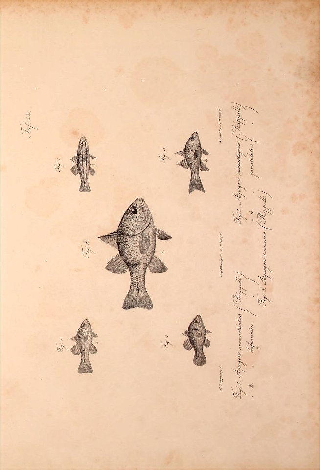 n506_w1150