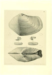 n129_w1150