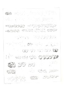 n514_w1150