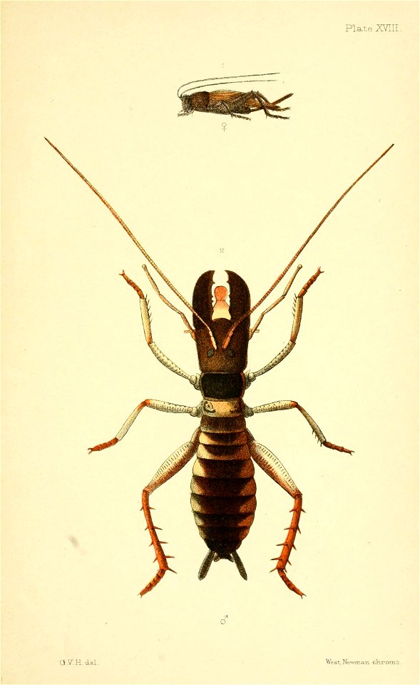 n216_w1150
